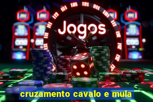 cruzamento cavalo e mula
